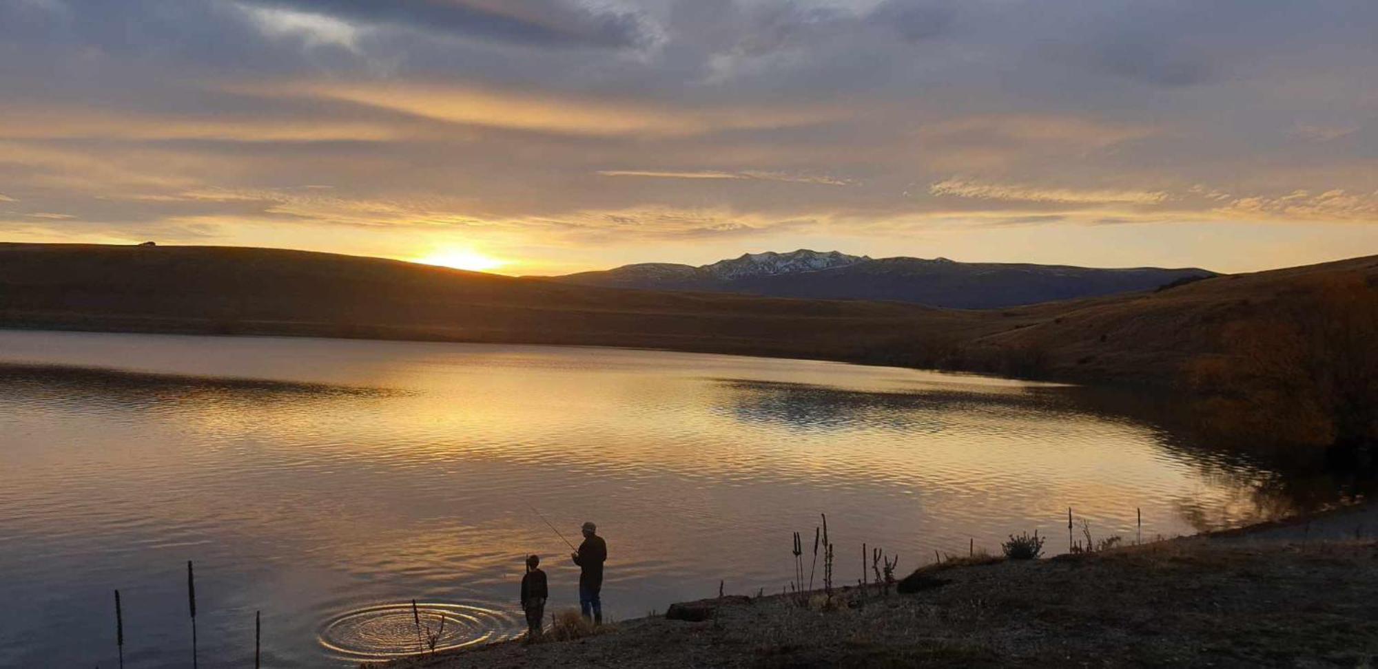 Lake Views At Antler Lodge レイク・テカポ エクステリア 写真